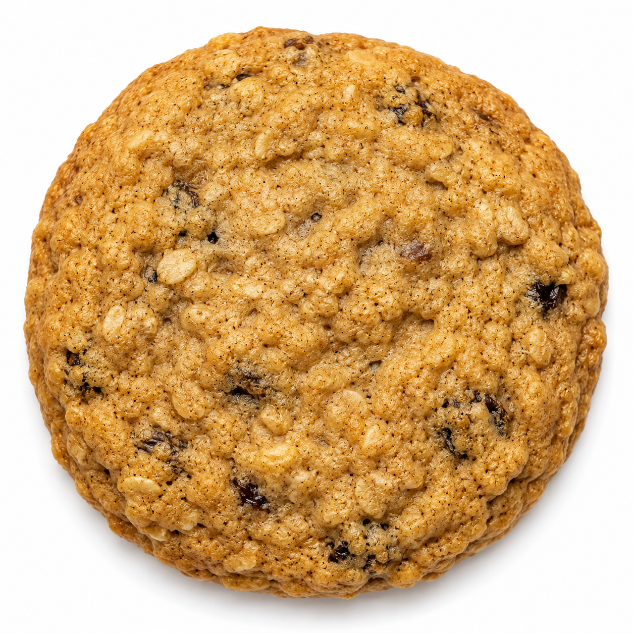 Jumbo Old-Fashioned Oatmeal Raisin Cookie (3 oz)